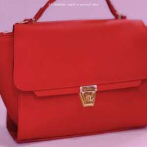 Women's Hand Bag - Premium Leather
